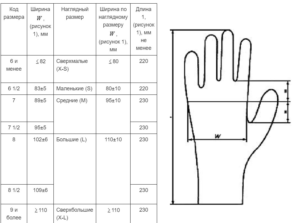 Размер смотровых медицинских перчаток