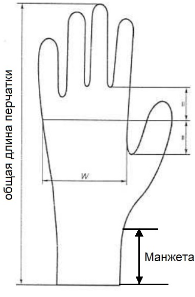 Общая схема медицинской перчатки